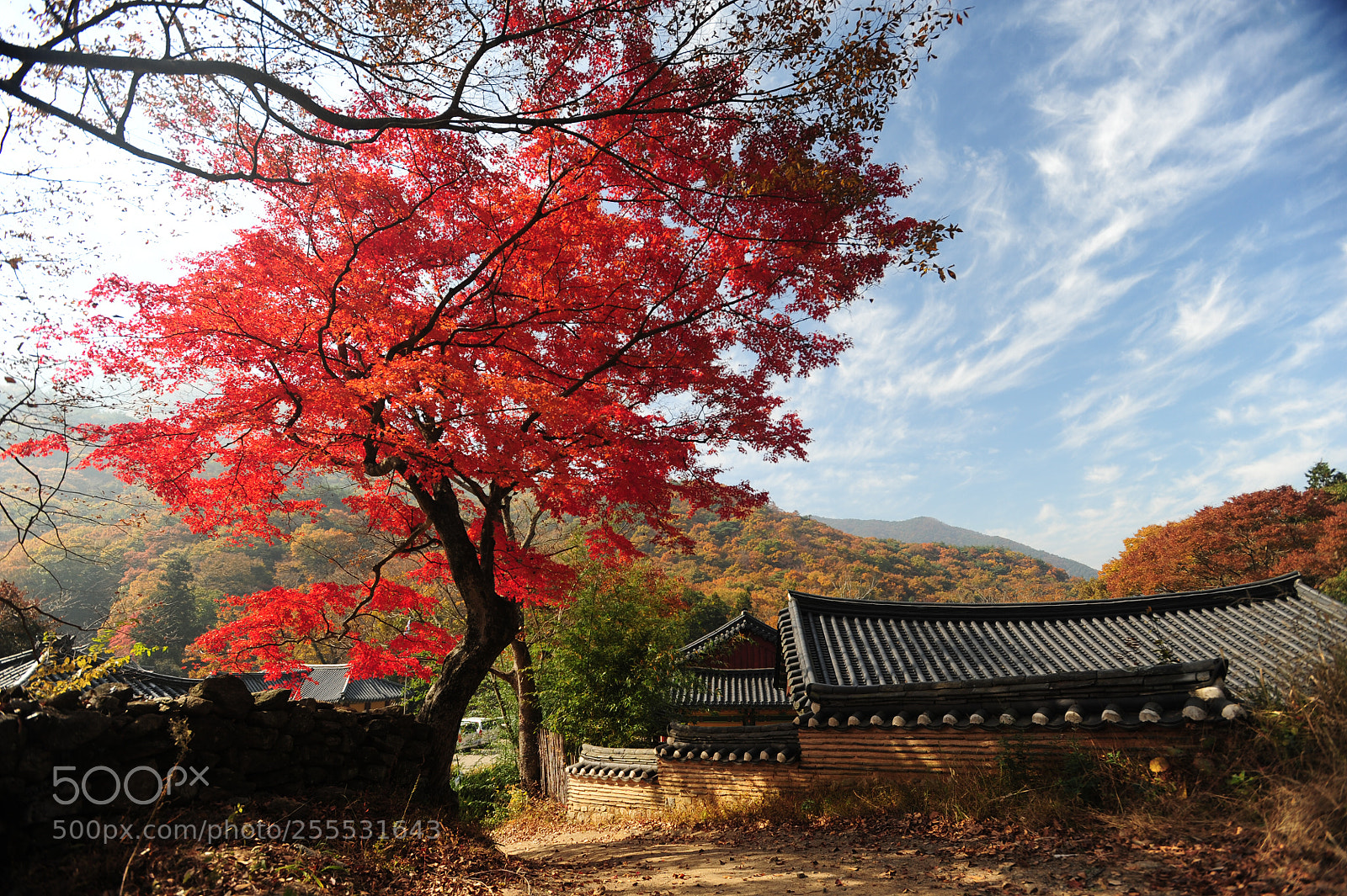 Nikon D700 sample photo. 가을 송광사 photography