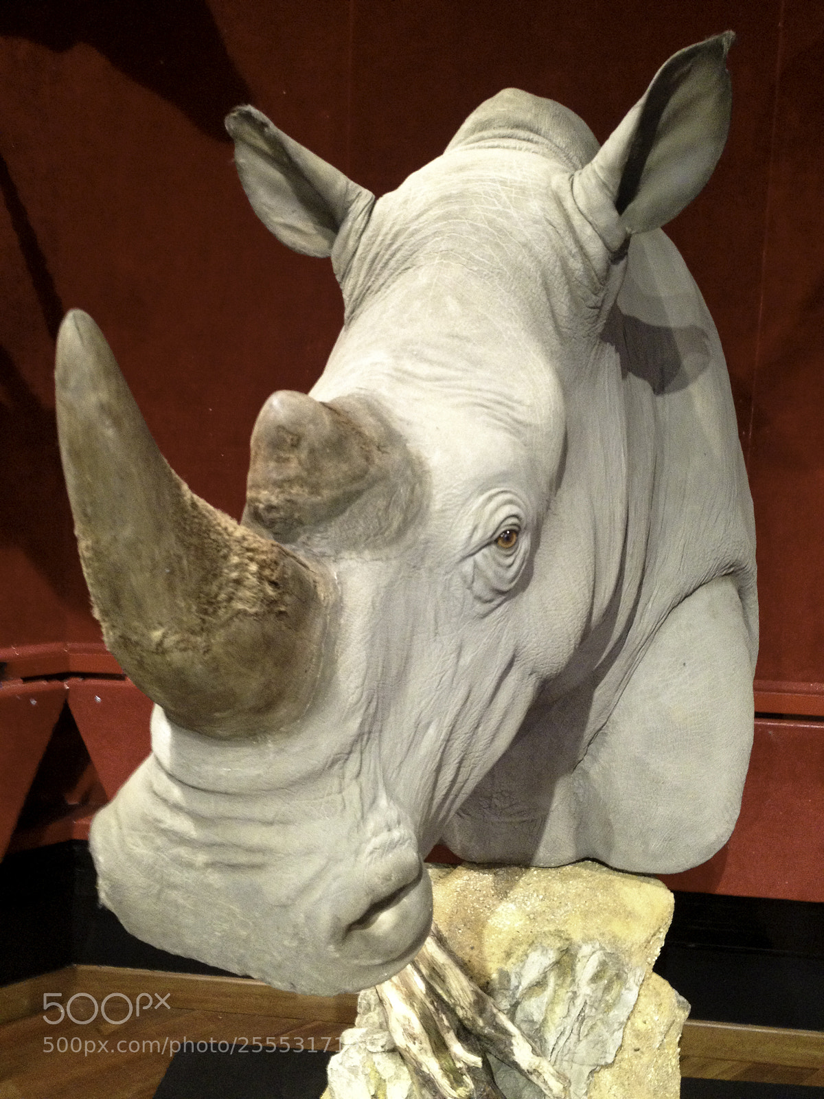 Apple iPhone 4S sample photo. Stuffed rhino a quasi photography