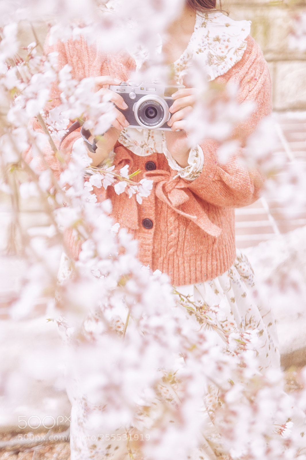 Canon EOS 750D (EOS Rebel T6i / EOS Kiss X8i) sample photo. Camera and flower photography