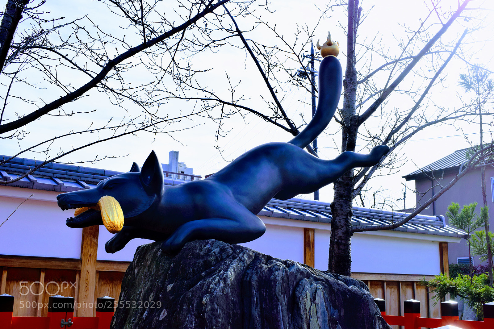 Nikon D3300 sample photo. Dsc photography