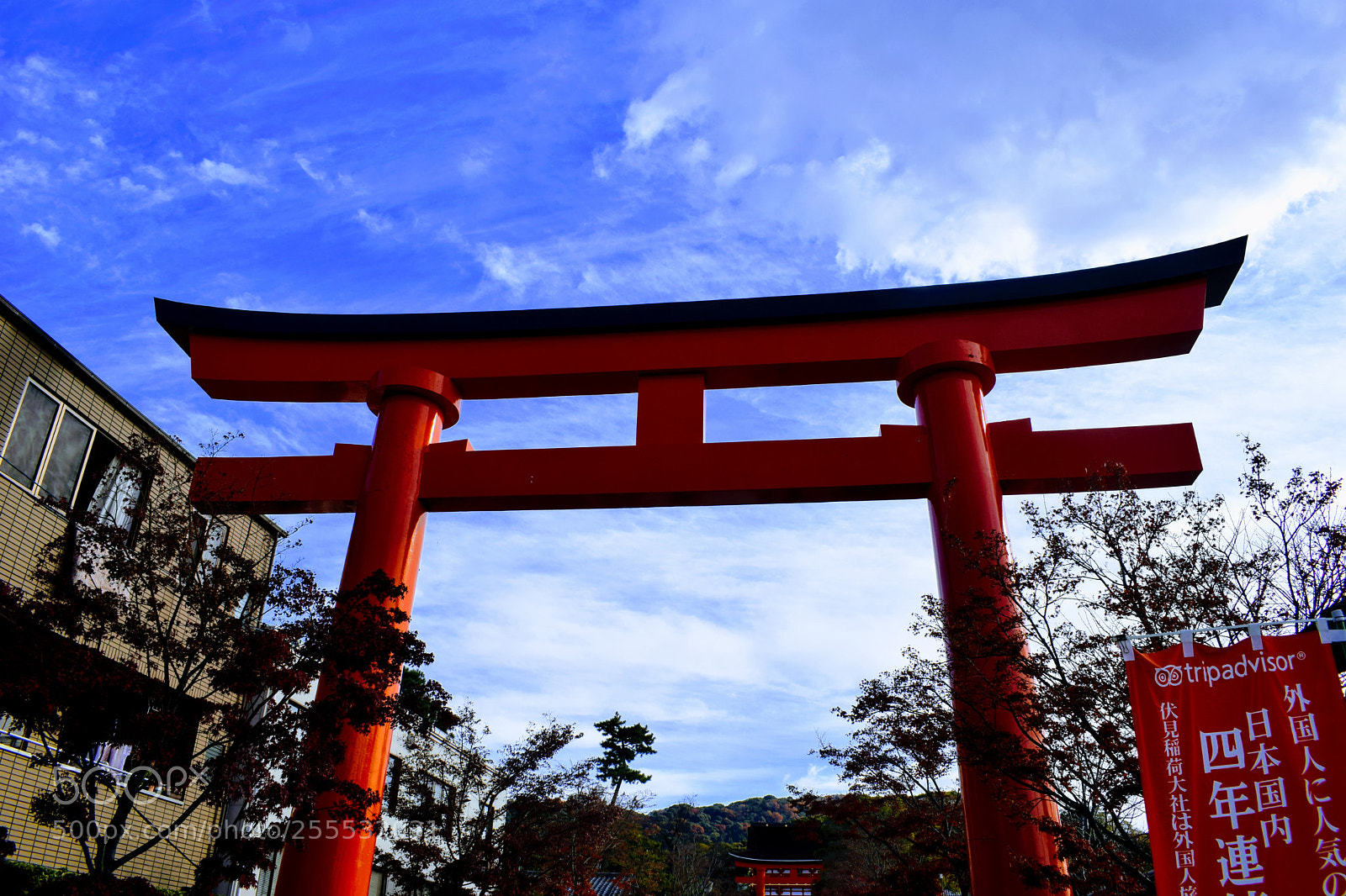 Nikon D3300 sample photo. Dsc photography