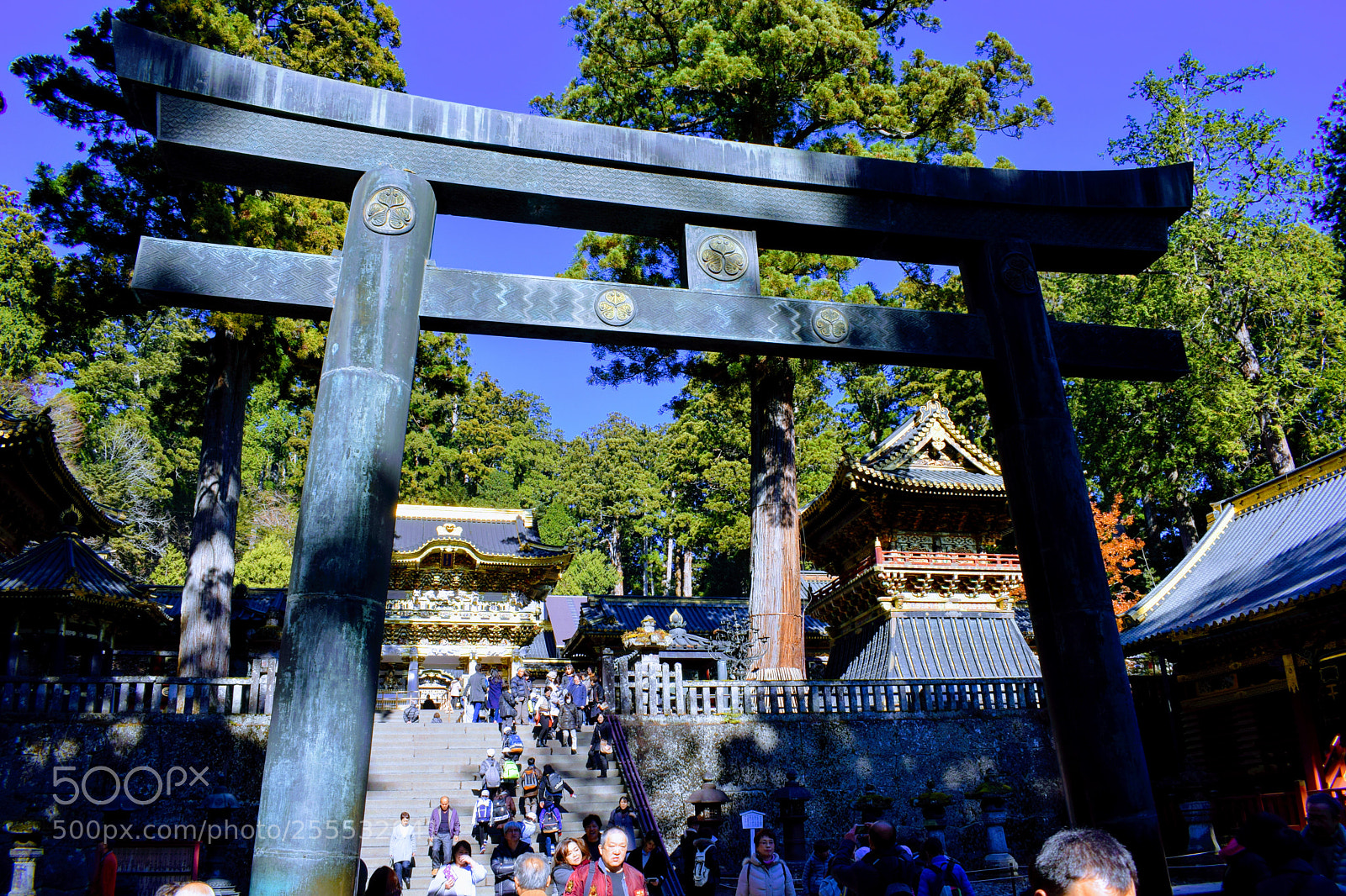 Nikon D3300 sample photo. Dsc photography