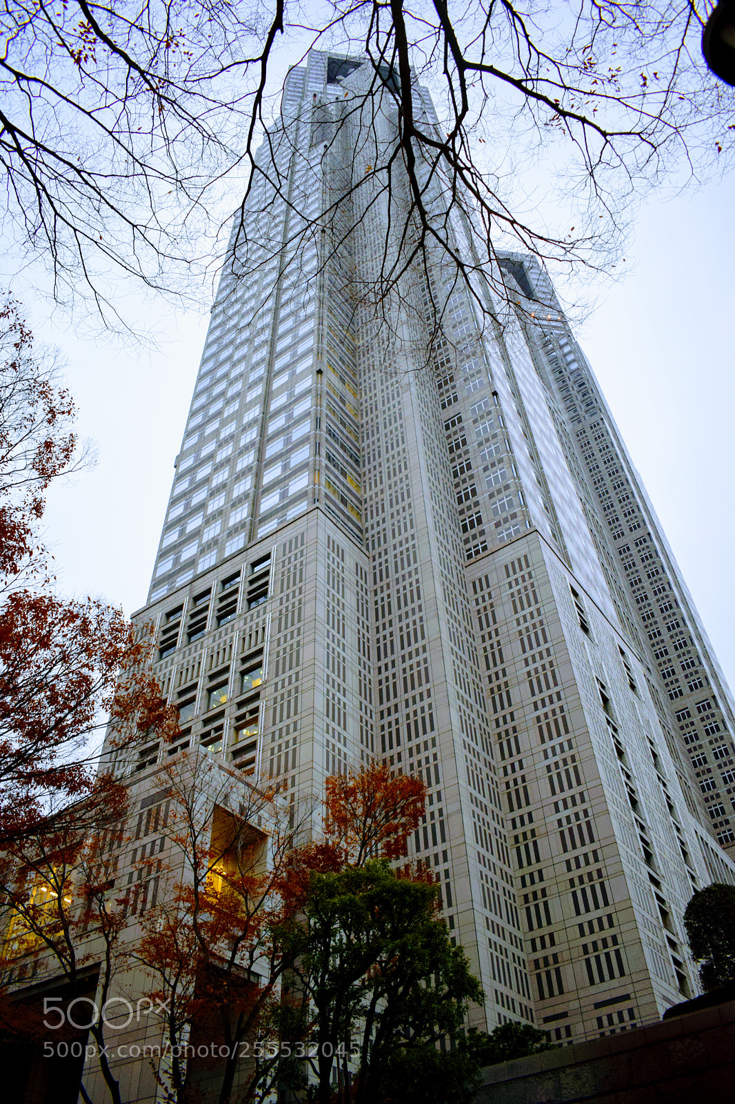 Nikon D3300 sample photo. () photography