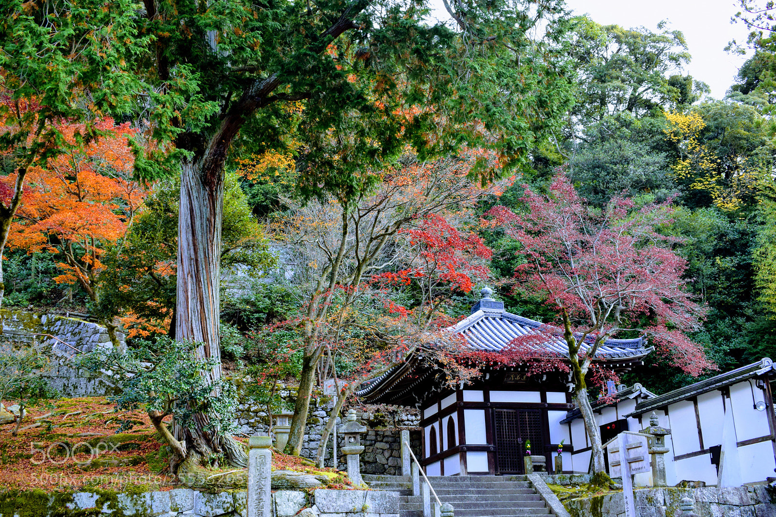 Nikon D3300 sample photo. Dsc photography