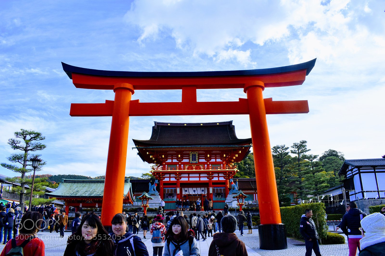 Nikon D3300 sample photo. () photography