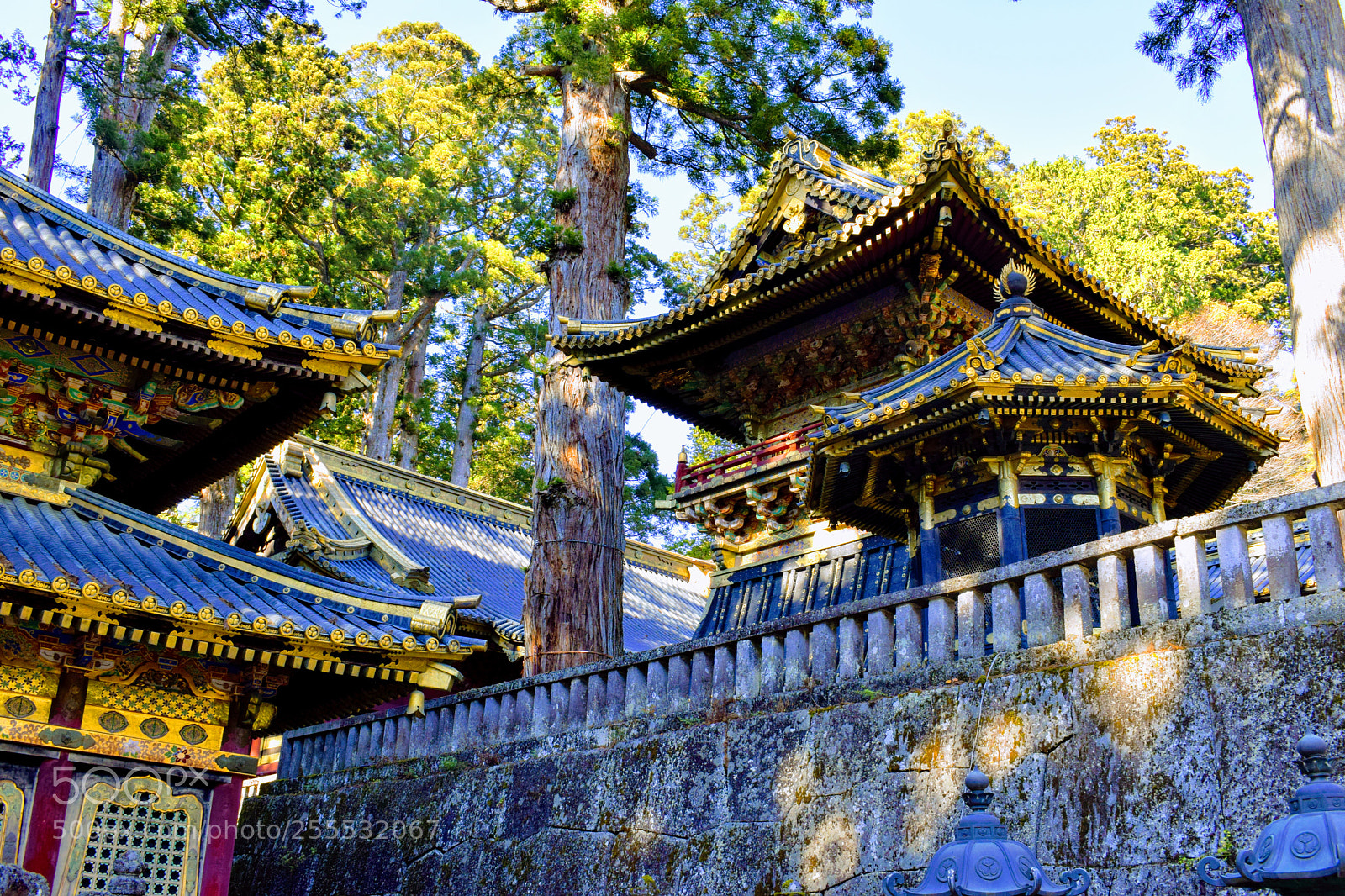 Nikon D3300 sample photo. Dsc photography