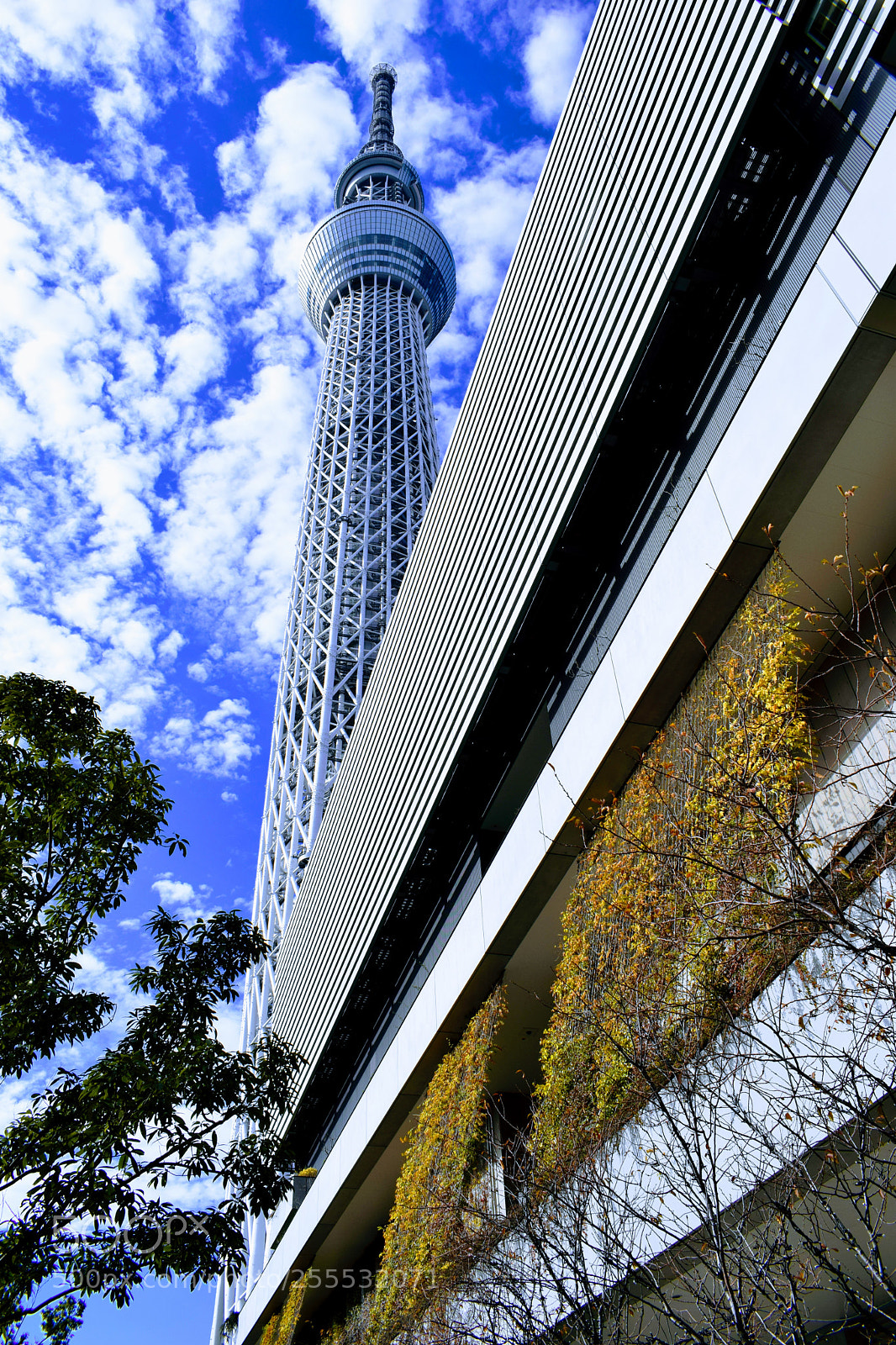 Nikon D3300 sample photo. Dsc photography