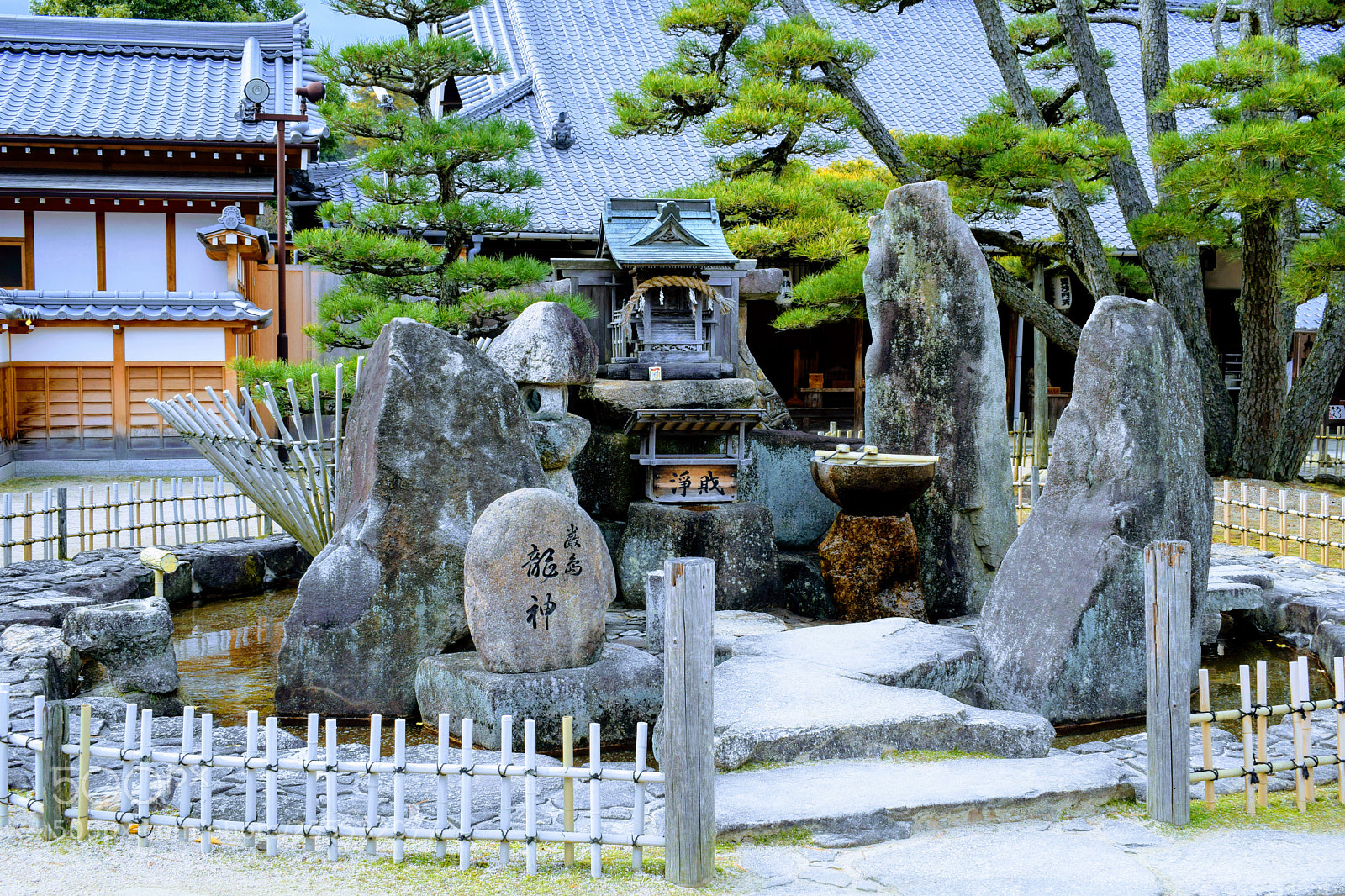 Nikon D3300 sample photo. Dsc photography