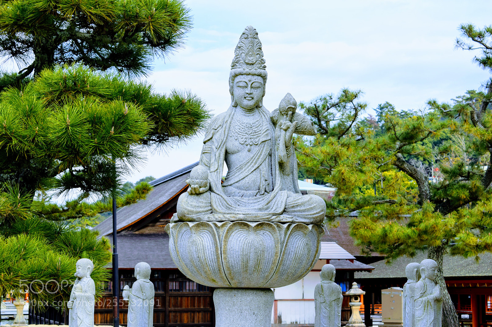 Nikon D3300 sample photo. Dsc photography