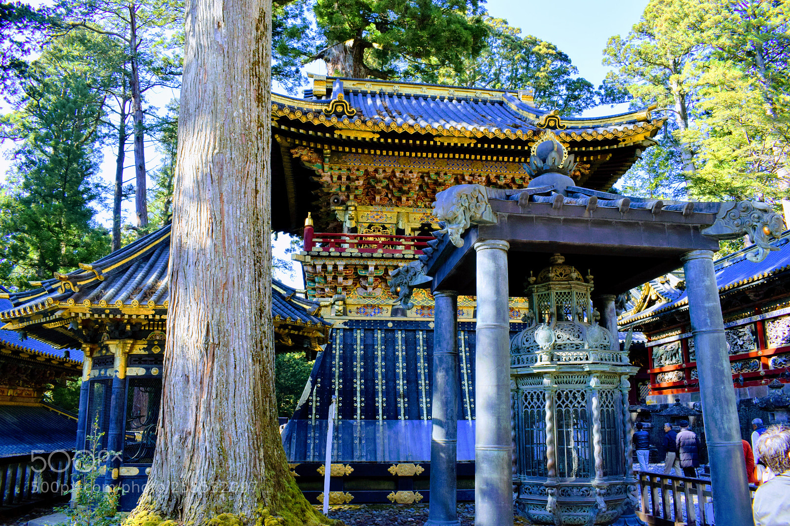 Nikon D3300 sample photo. Dsc photography