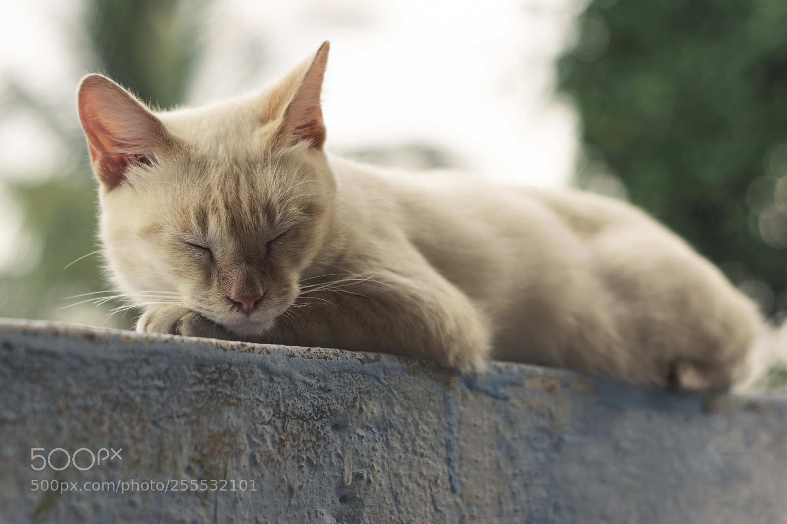 Nikon D3300 sample photo. Untitled photography