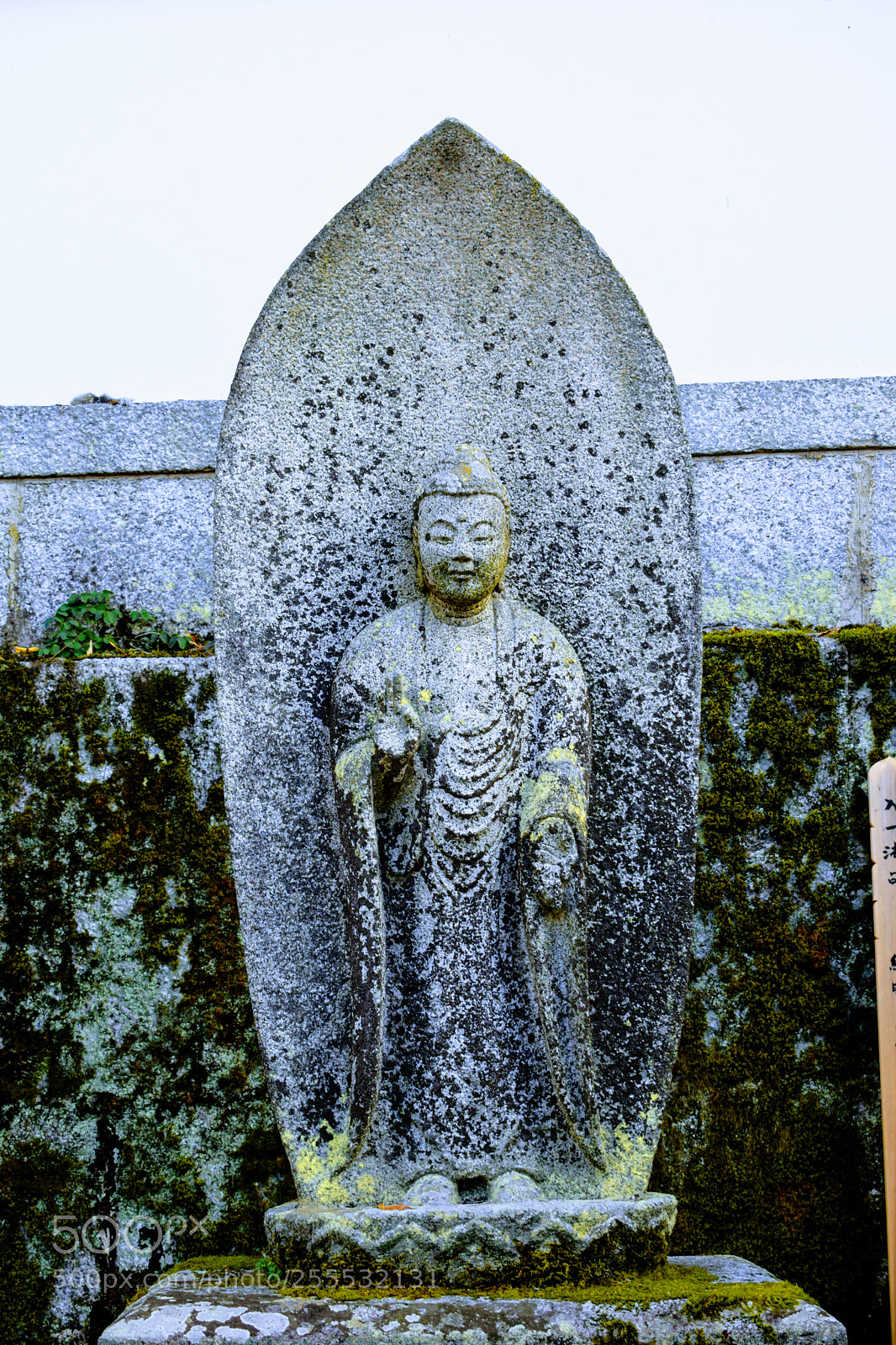 Nikon D3300 sample photo. Dsc photography