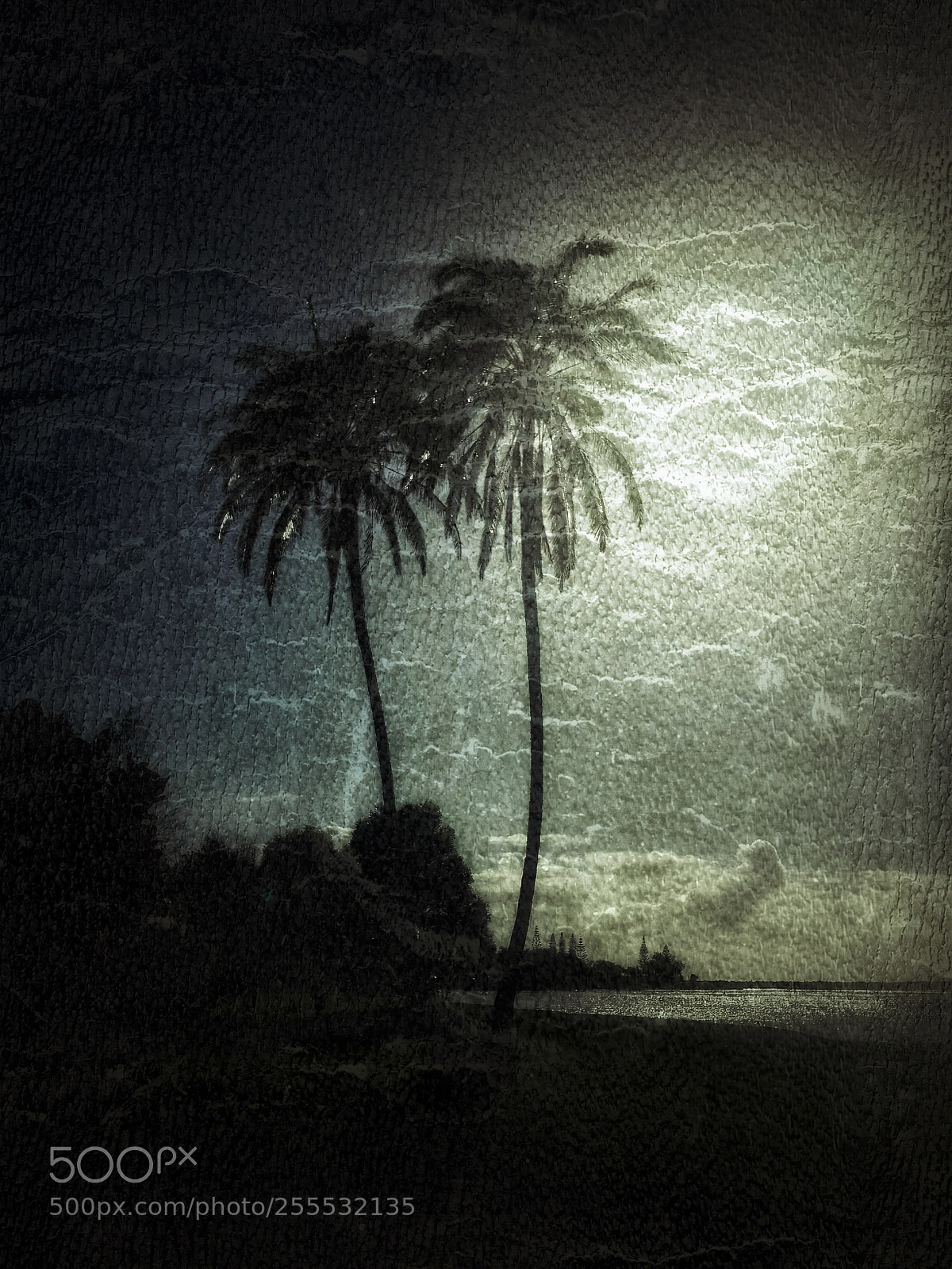 HUAWEI Mate 10 sample photo. My moonlight sonata photography