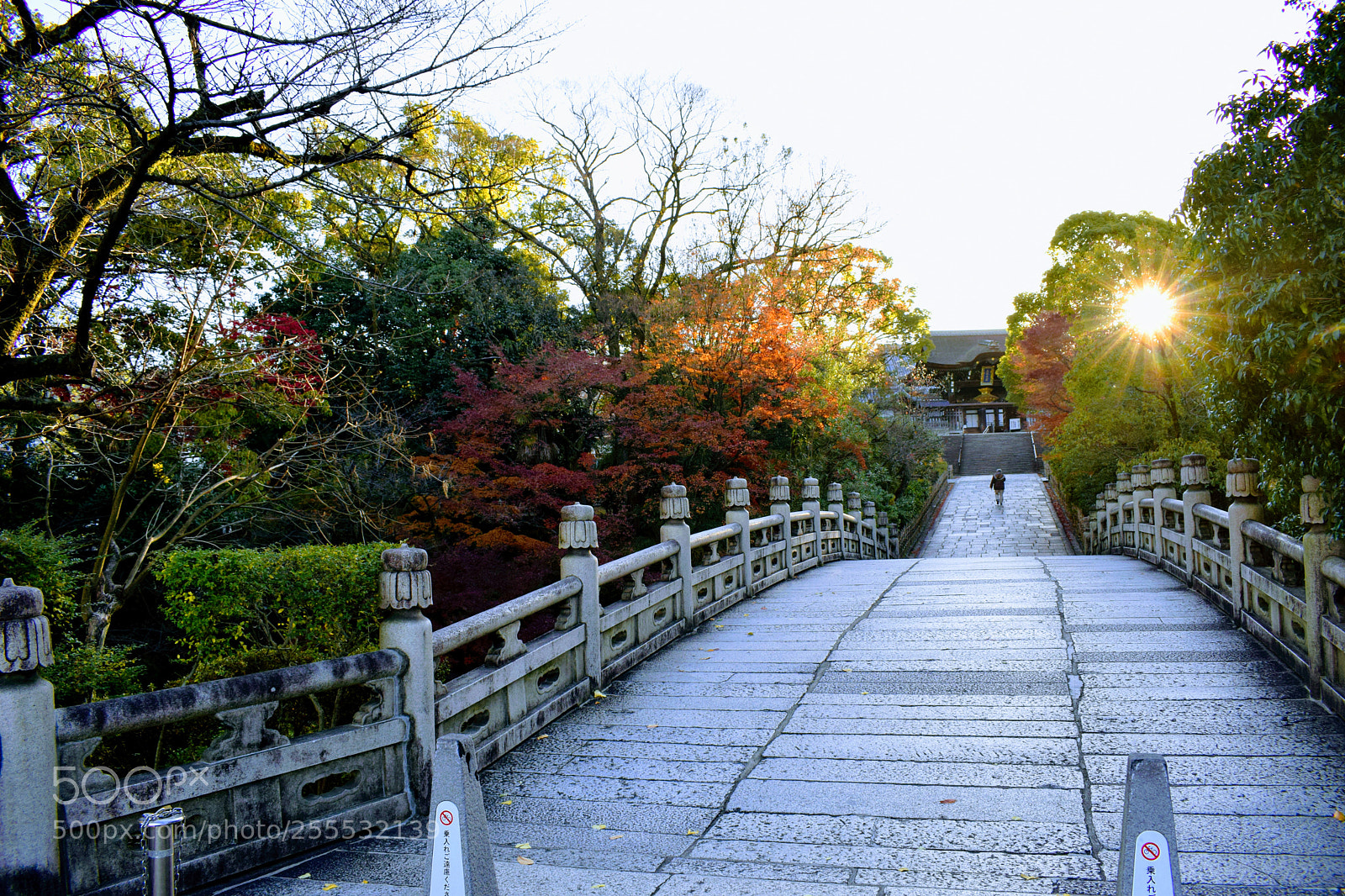 Nikon D3300 sample photo. Dsc photography