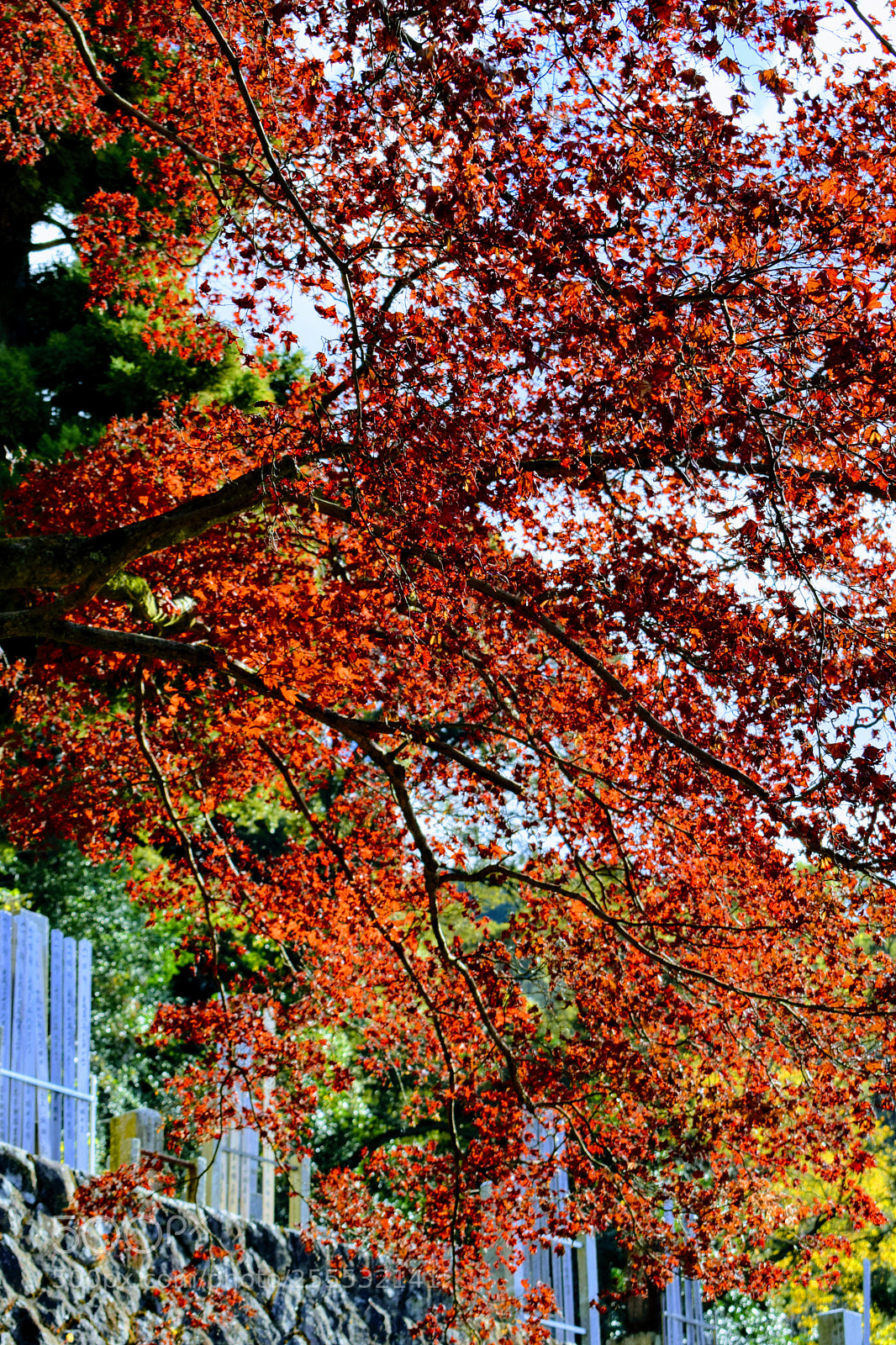Nikon D3300 sample photo. Dsc photography