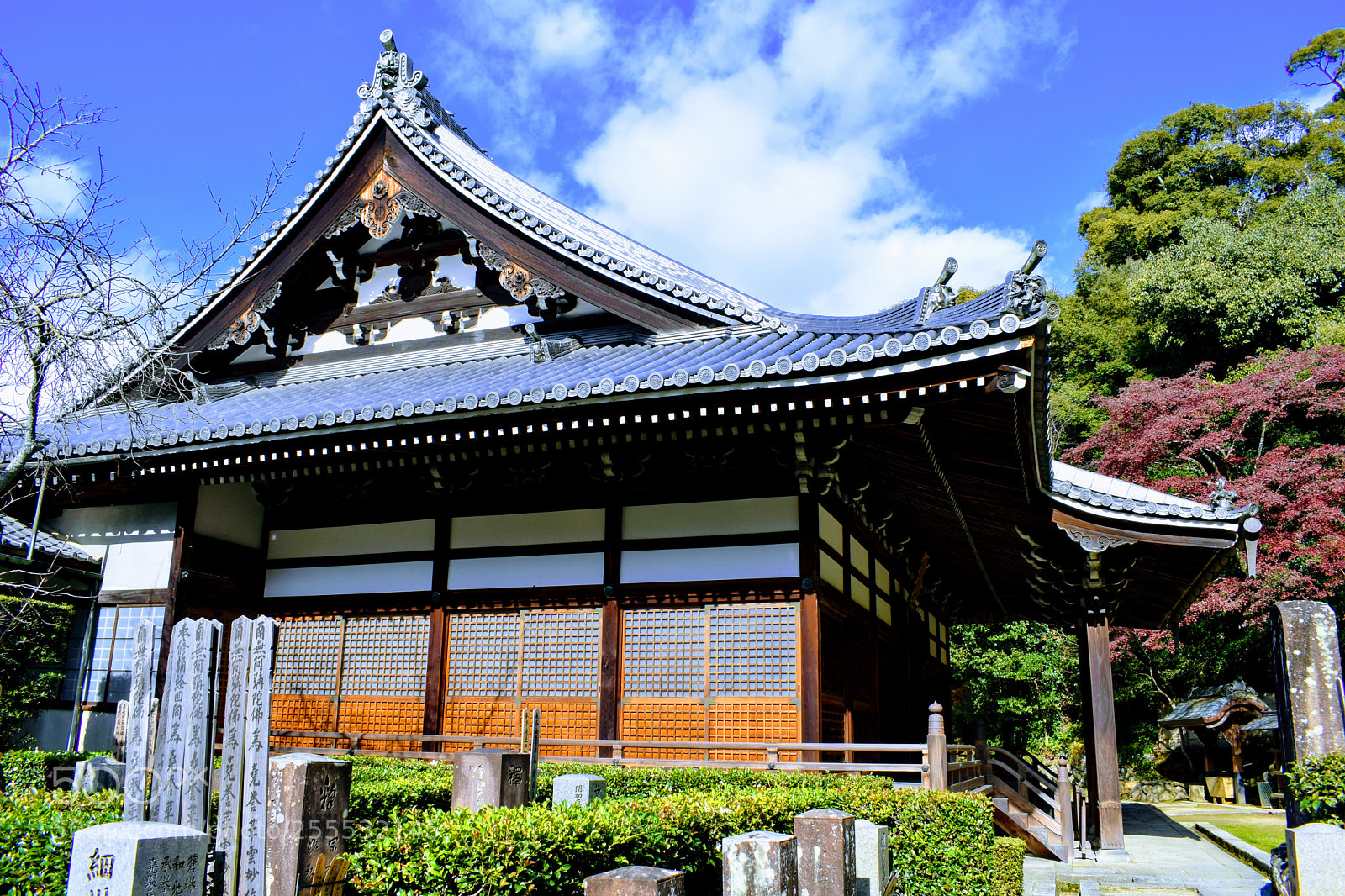 Nikon D3300 sample photo. Dsc photography