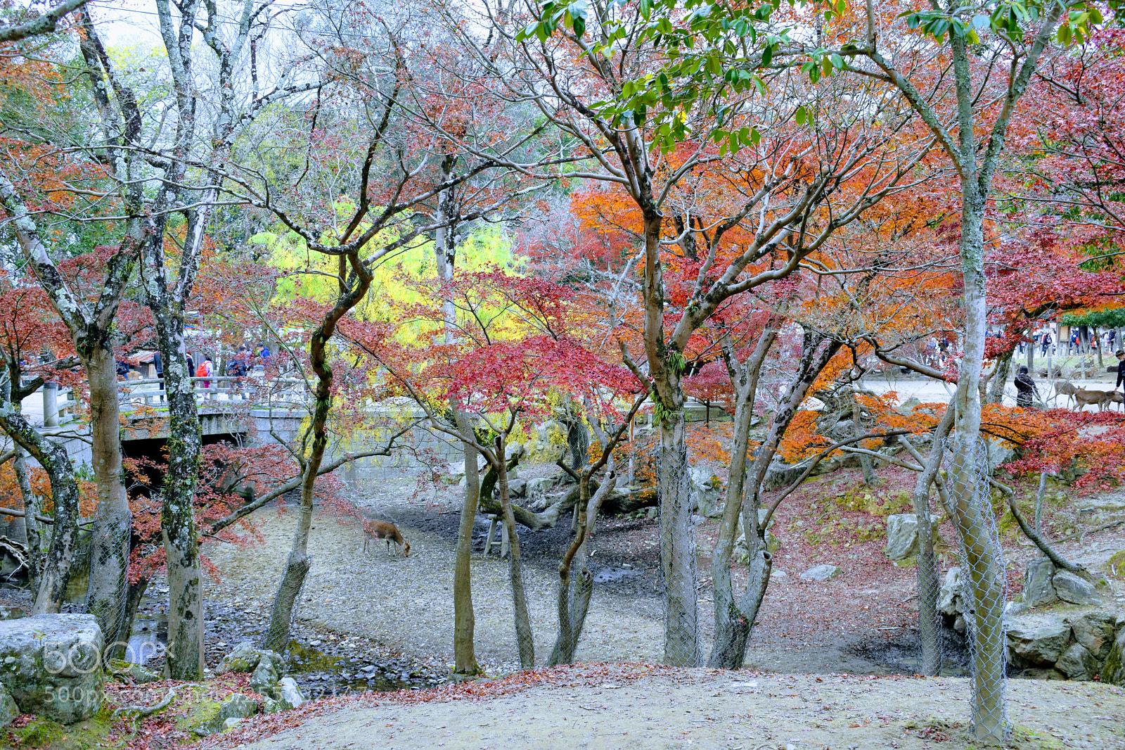 Nikon D3300 sample photo. Dsc photography