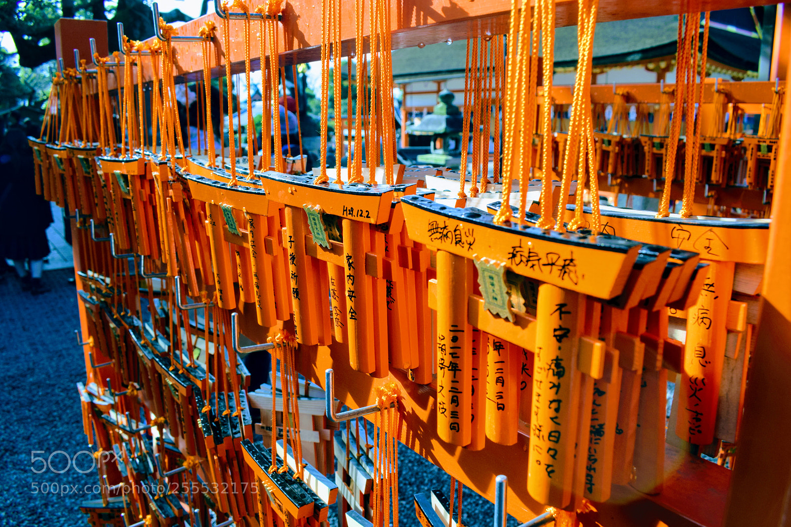 Nikon D3300 sample photo. Dsc photography