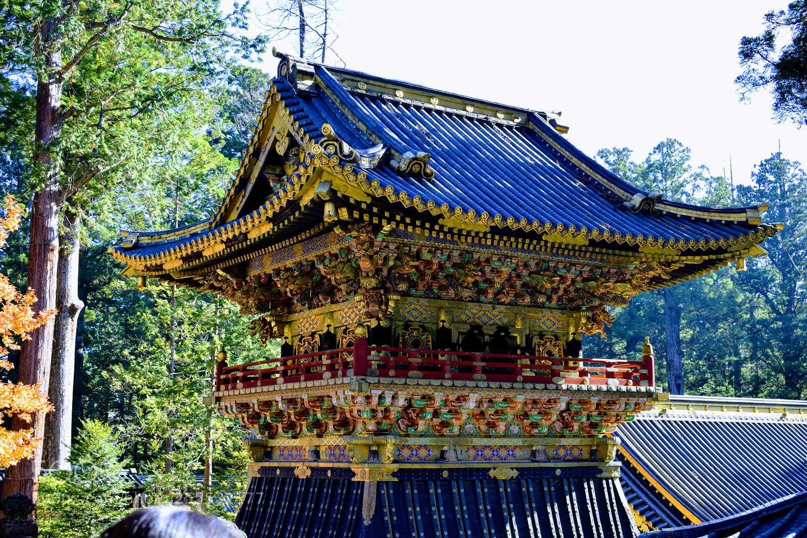 Nikon D3300 sample photo. Dsc photography