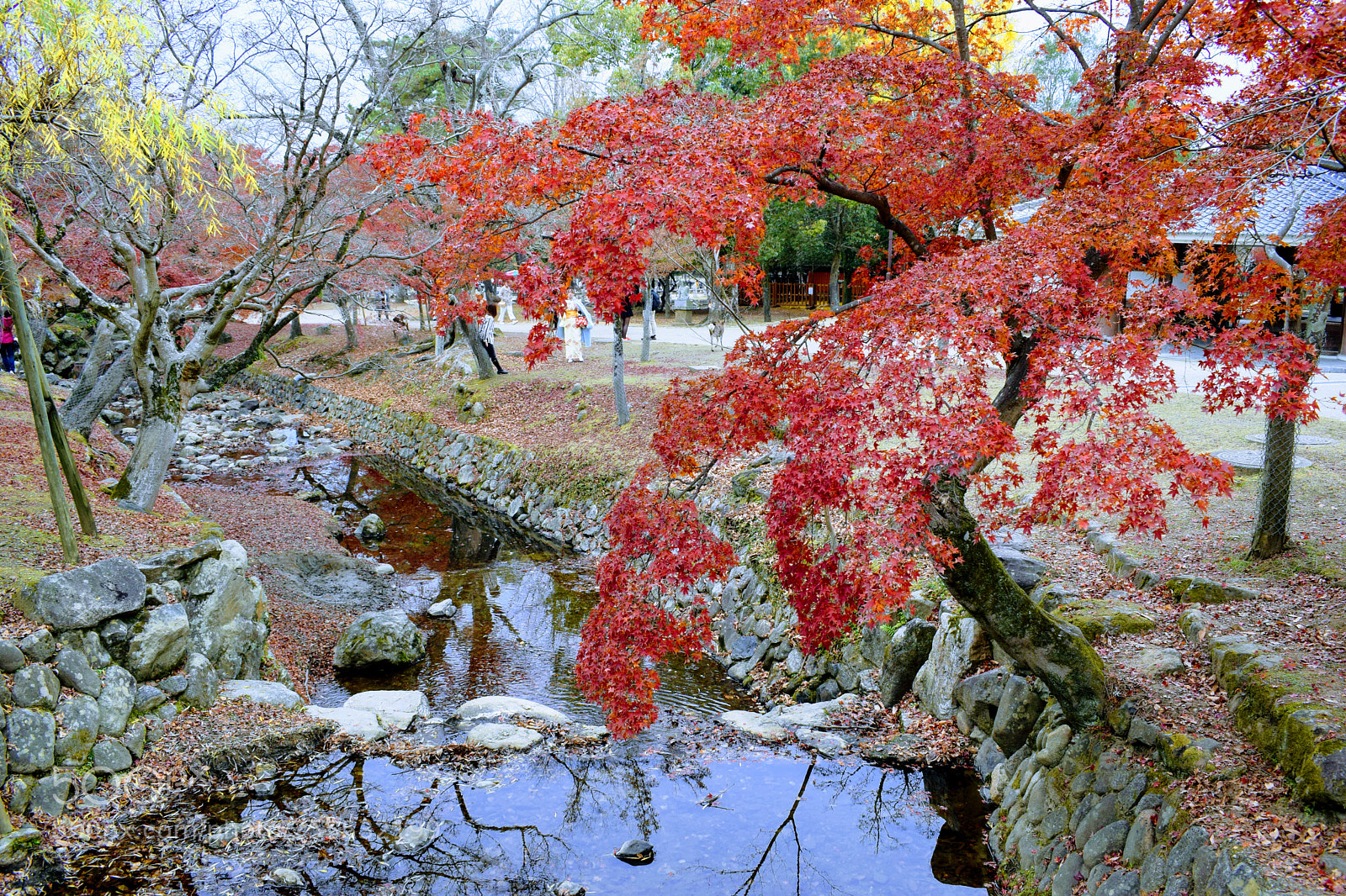 Nikon D3300 sample photo. Dsc photography