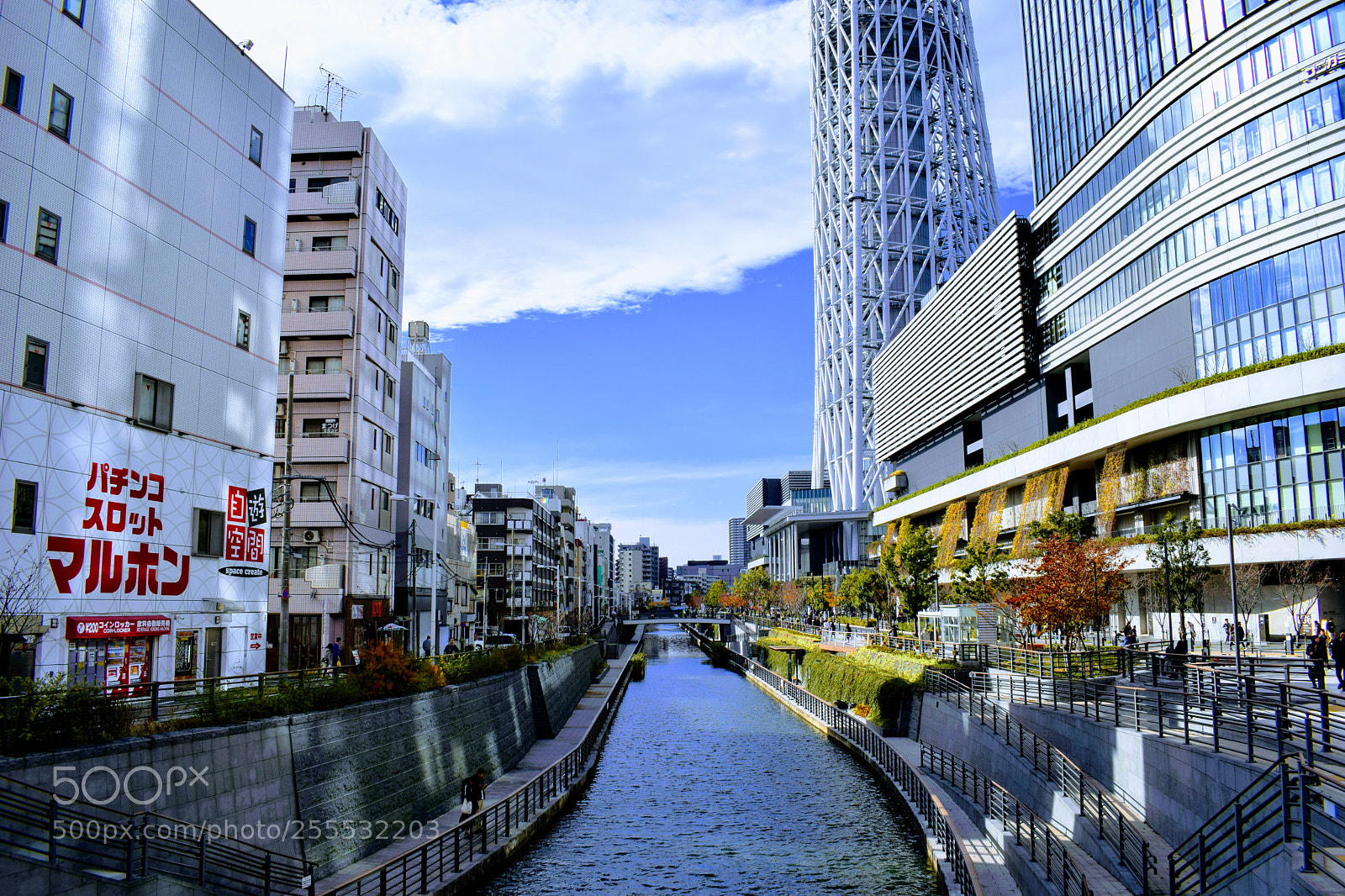 Nikon D3300 sample photo. Dsc photography