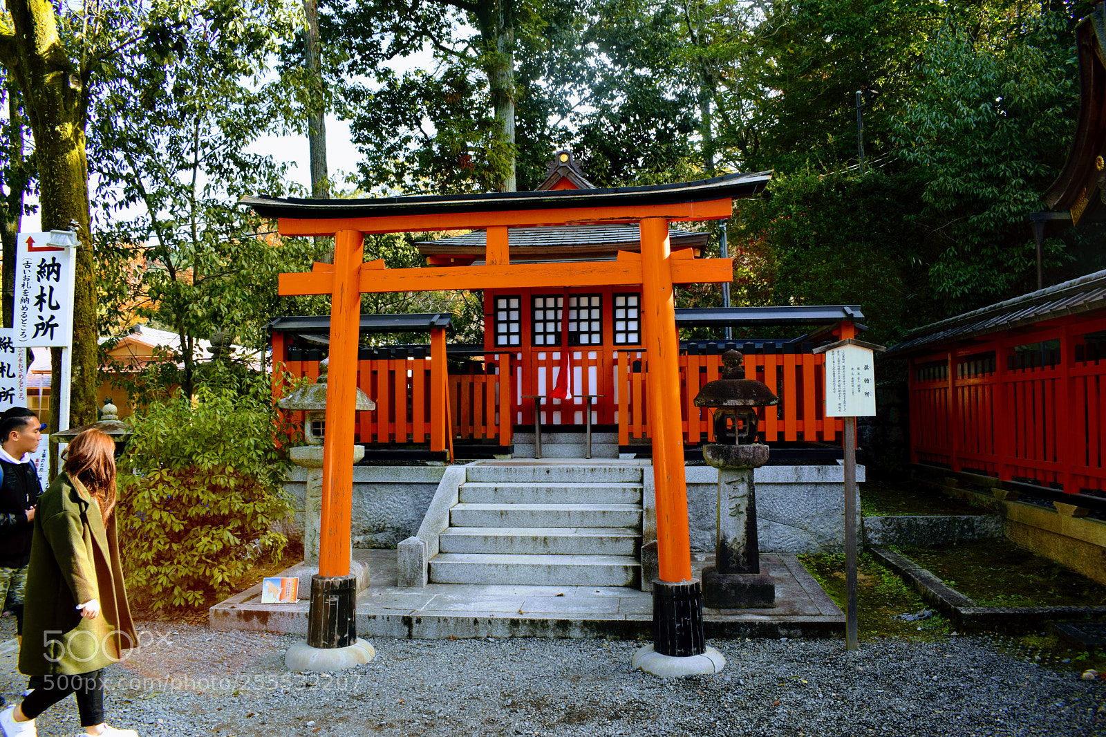 Nikon D3300 sample photo. Dsc photography