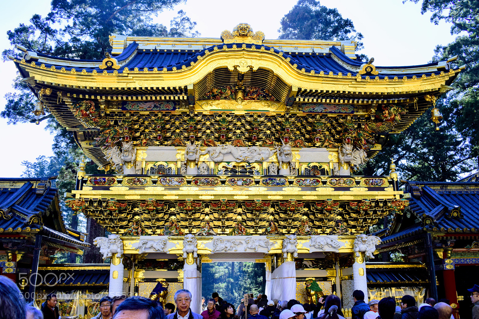 Nikon D3300 sample photo. Dsc photography