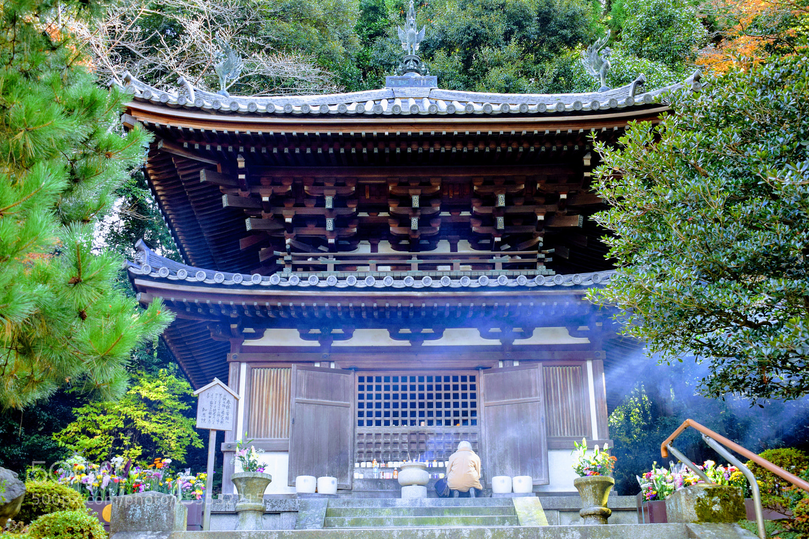 Nikon D3300 sample photo. Dsc photography