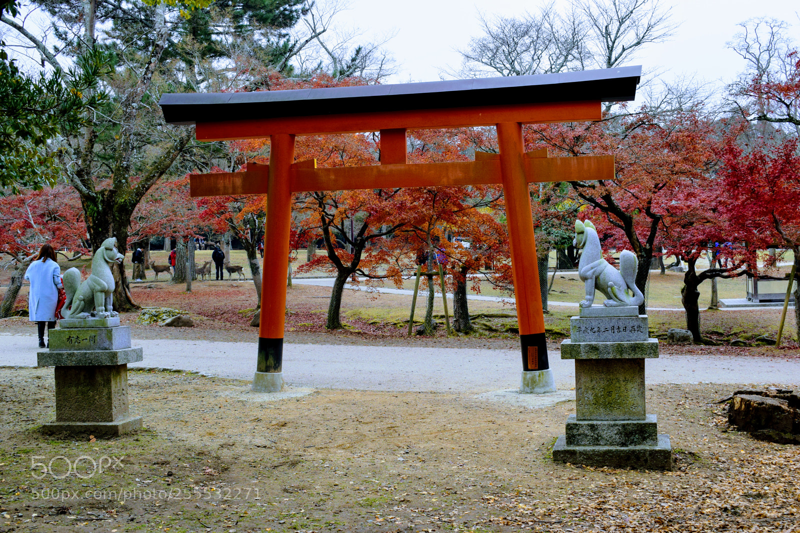 Nikon D3300 sample photo. Dsc photography