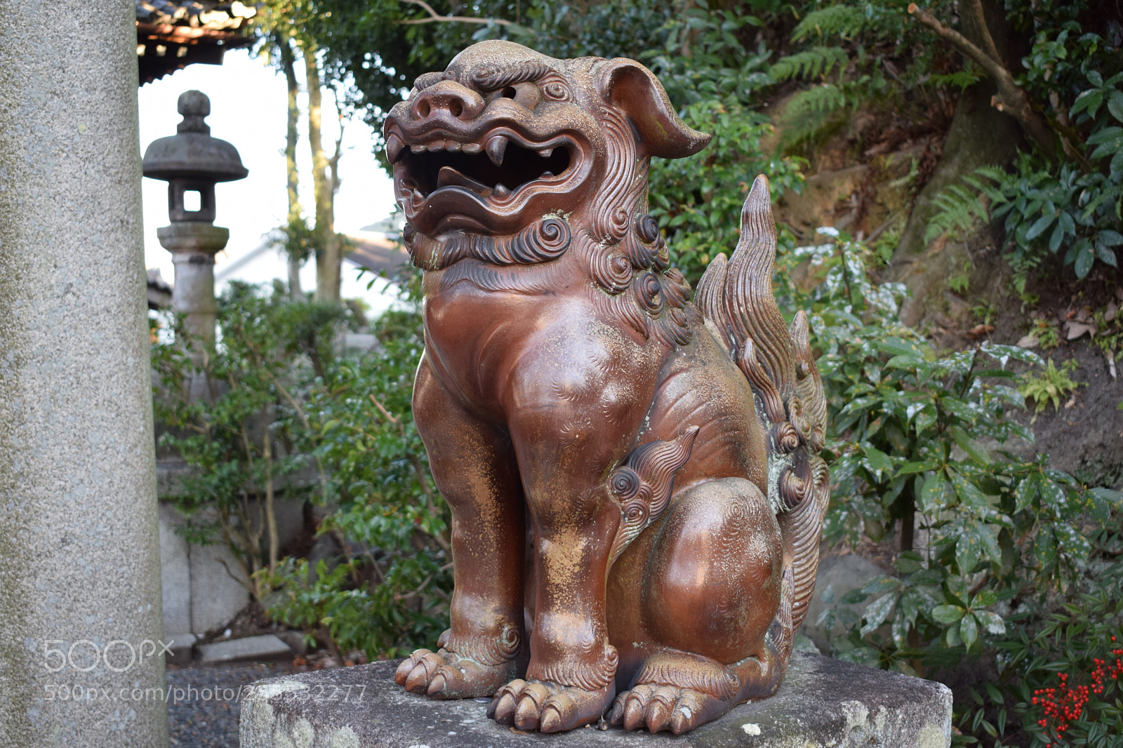 Nikon D3300 sample photo. Dsc photography