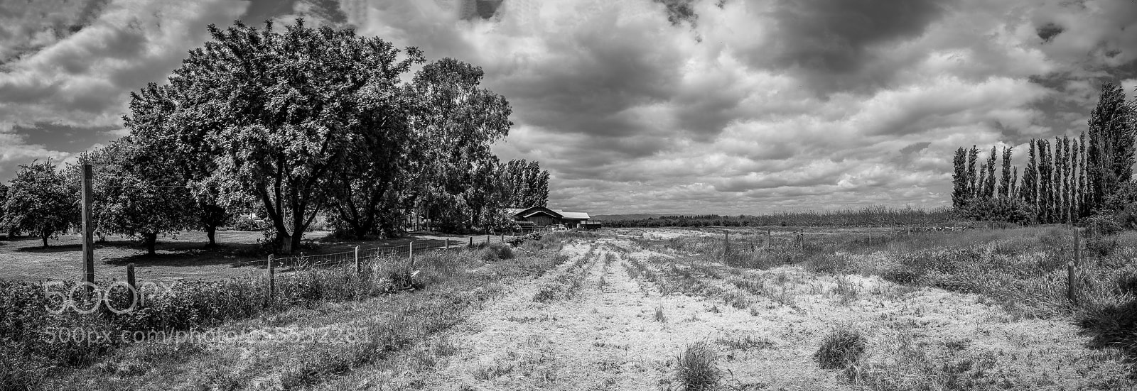Fujifilm X-T1 sample photo. Farm pano photography