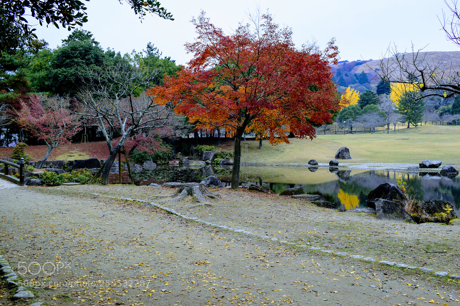 Nikon D3300 sample photo. Dsc photography