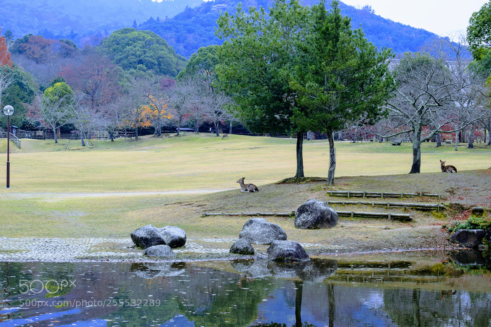 Nikon D3300 sample photo. Dsc photography