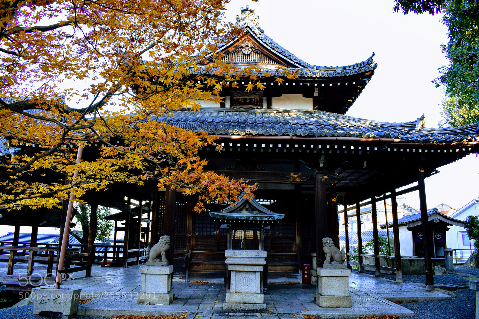 Nikon D3300 sample photo. Dsc photography