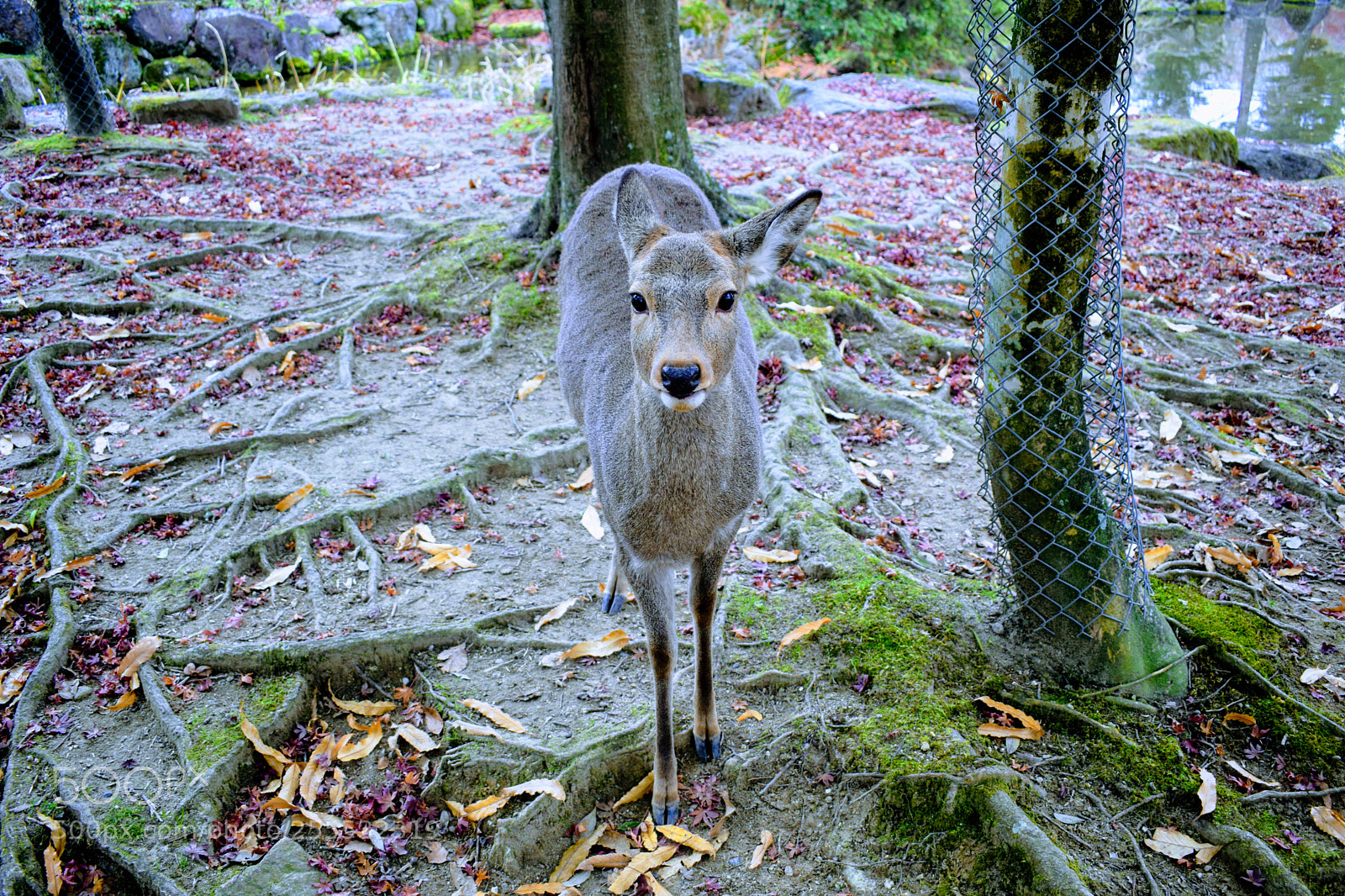 Nikon D3300 sample photo. Dsc photography