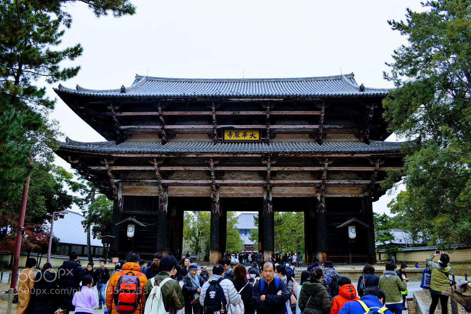 Nikon D3300 sample photo. Dsc photography