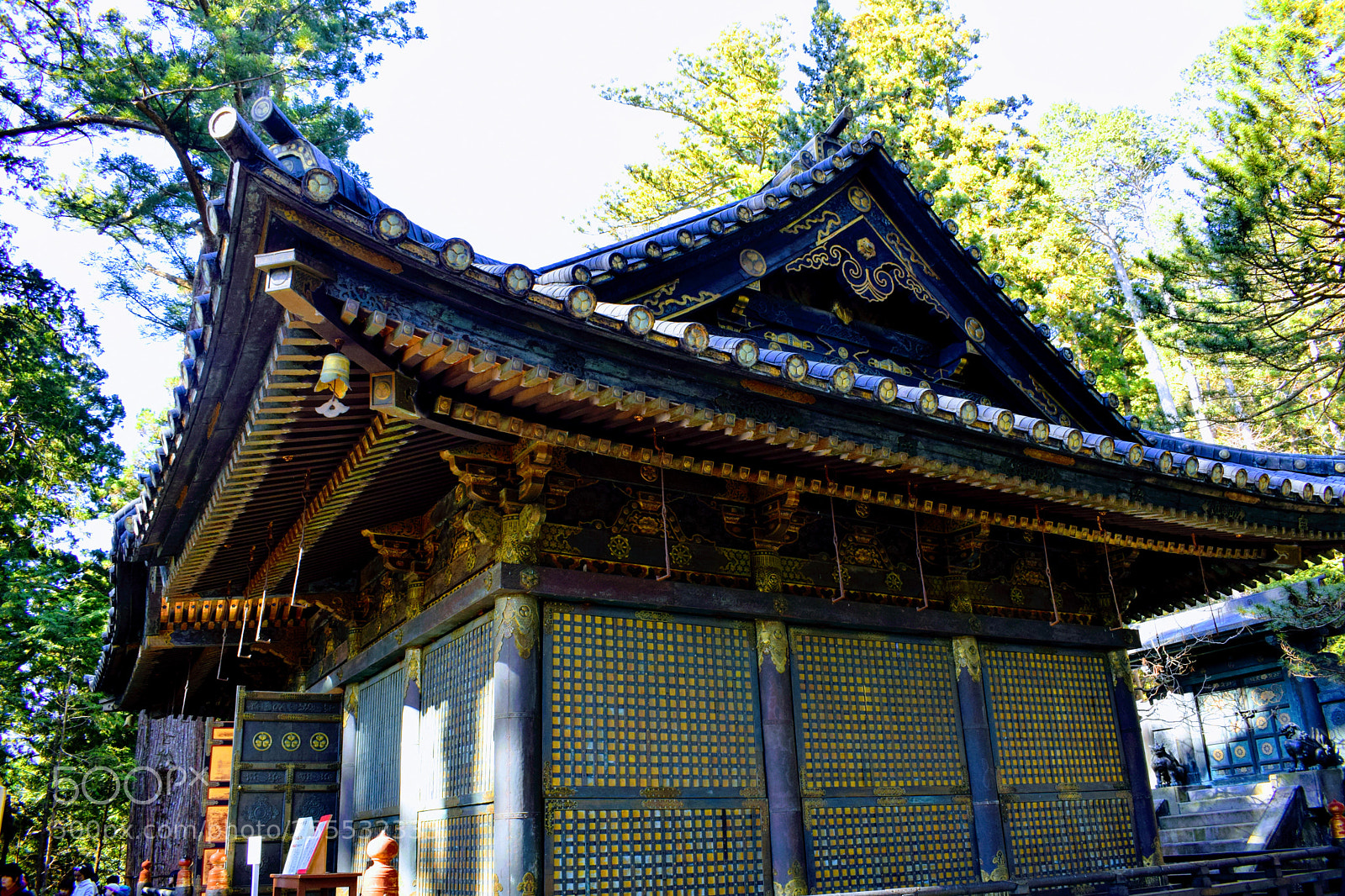 Nikon D3300 sample photo. Dsc photography