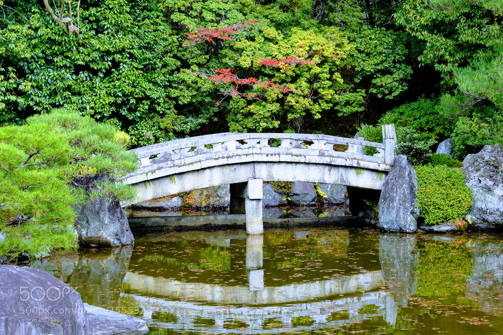 Nikon D3300 sample photo. () photography