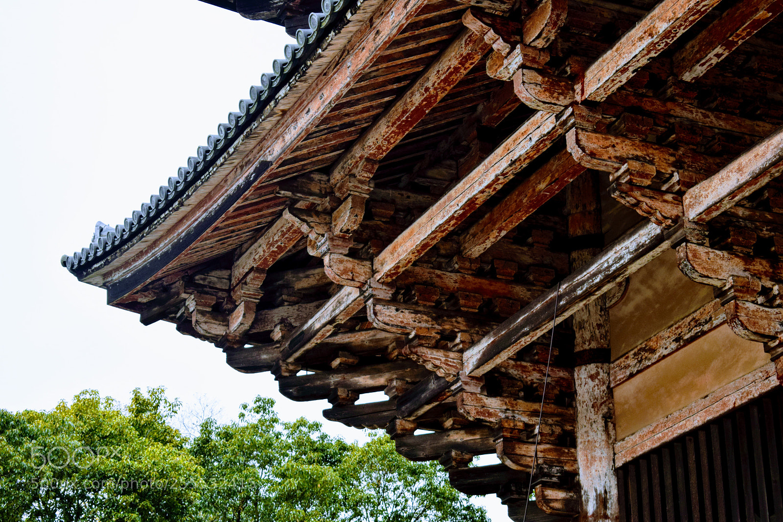 Nikon D3300 sample photo. () photography