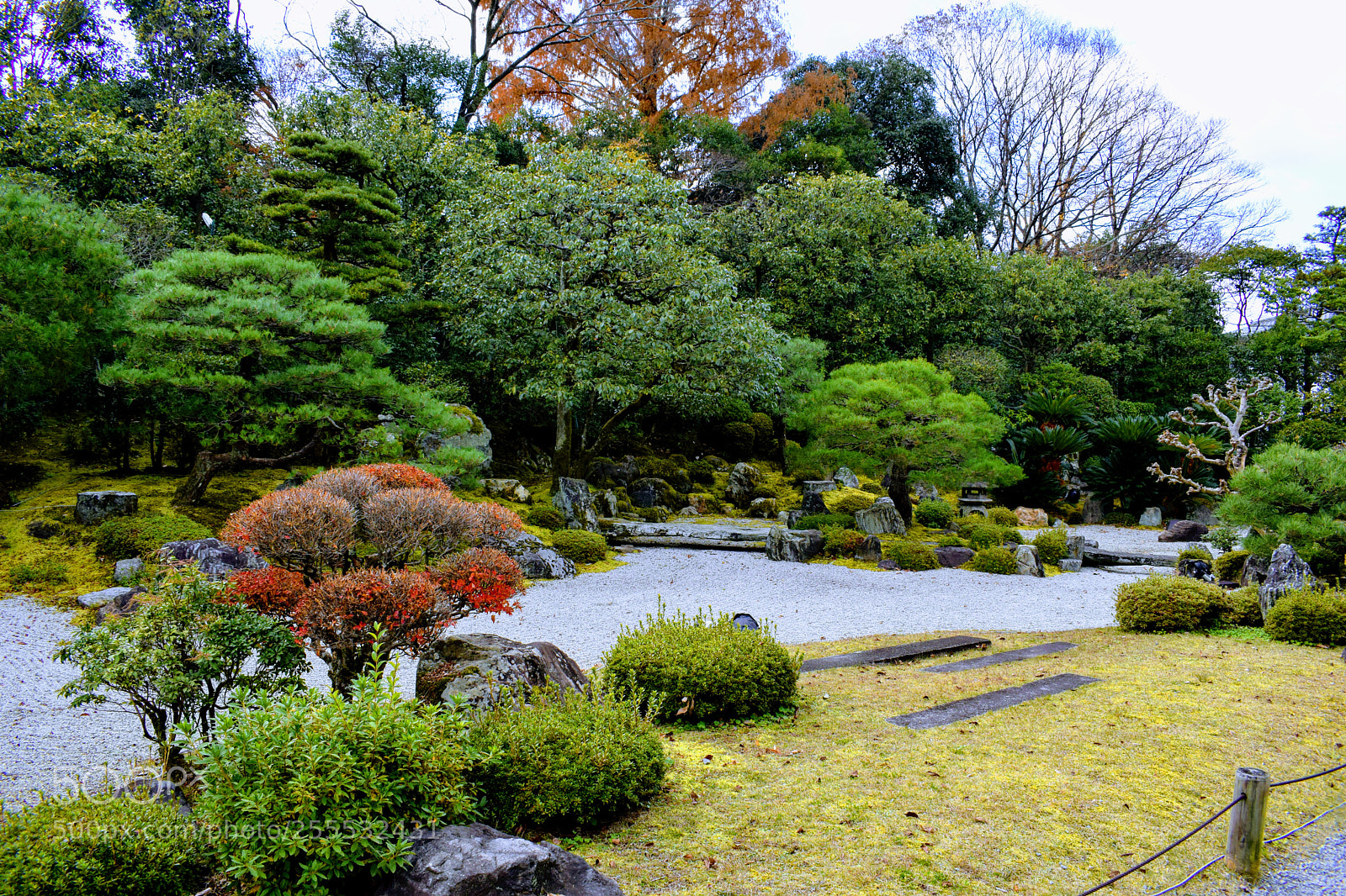 Nikon D3300 sample photo. () photography