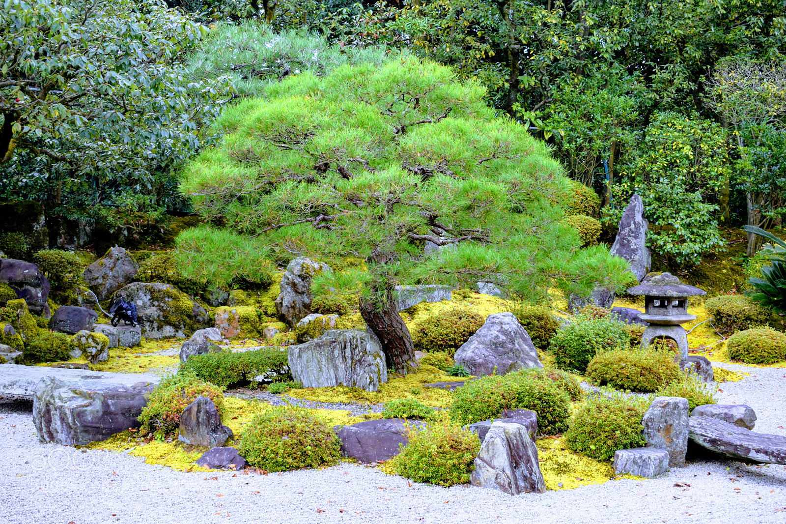 Nikon D3300 sample photo. Dsc photography