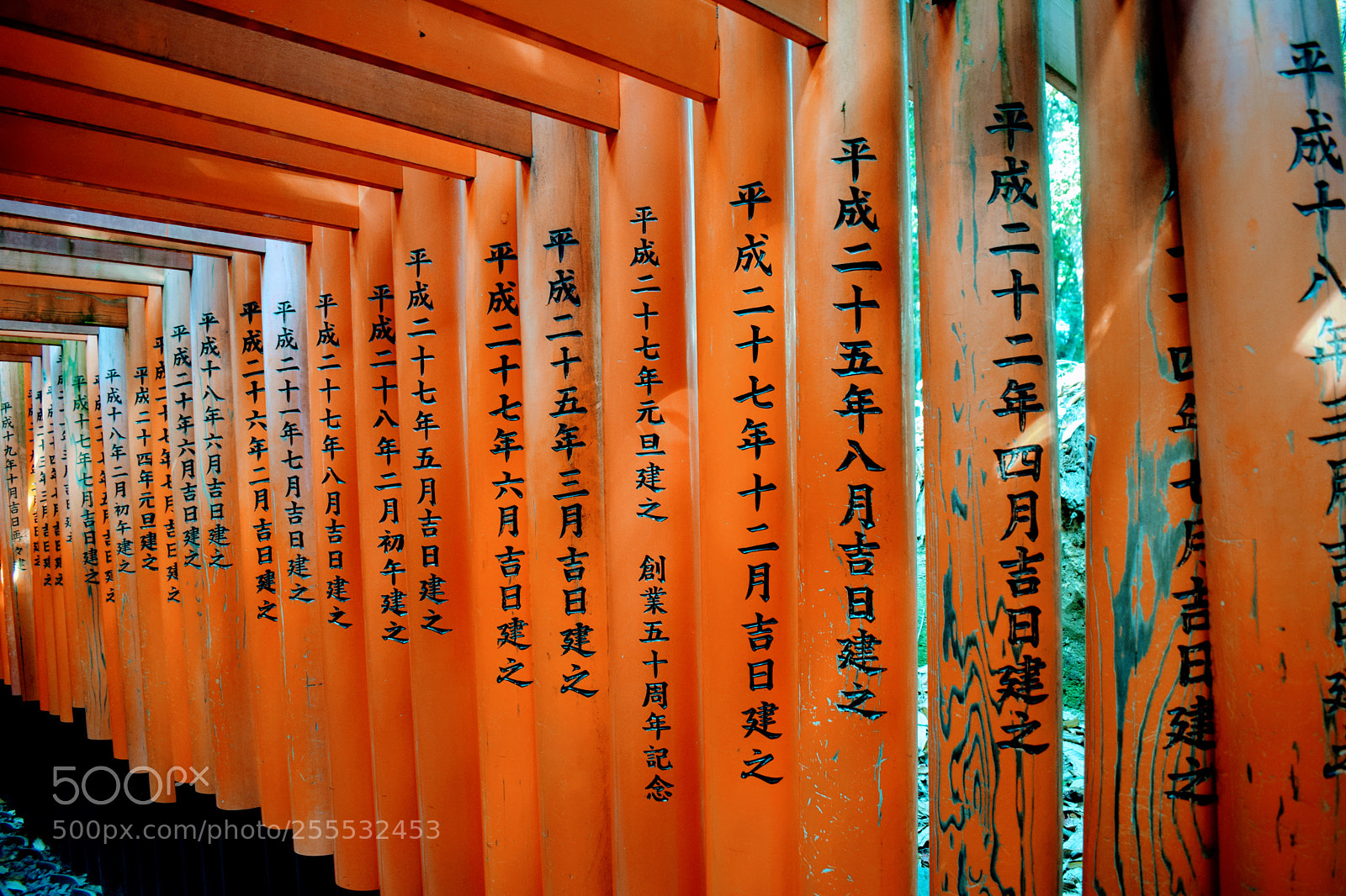 Nikon D3300 sample photo. () photography