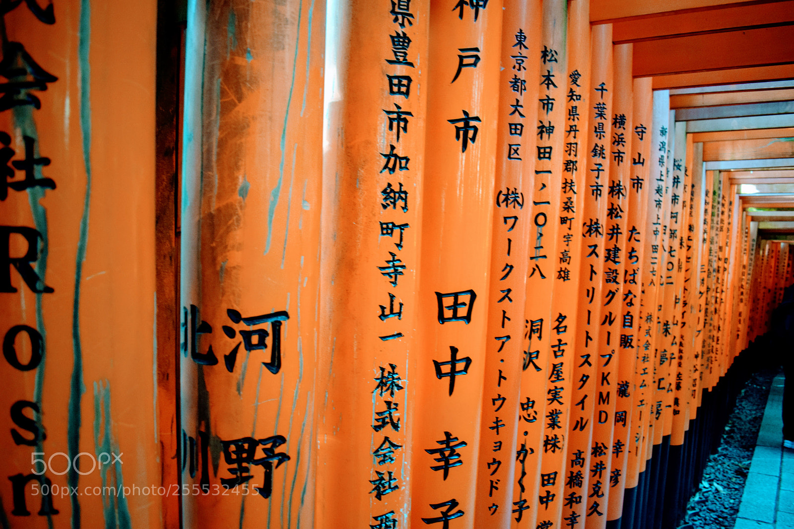 Nikon D3300 sample photo. Dsc photography