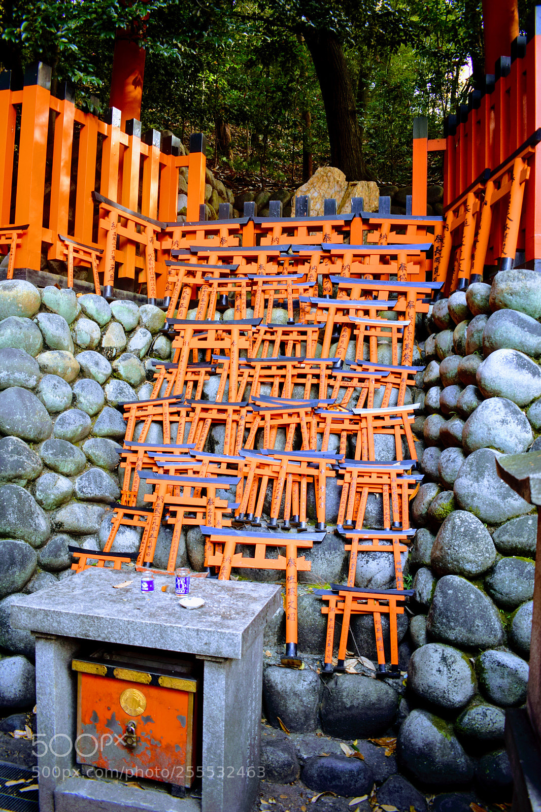 Nikon D3300 sample photo. () photography