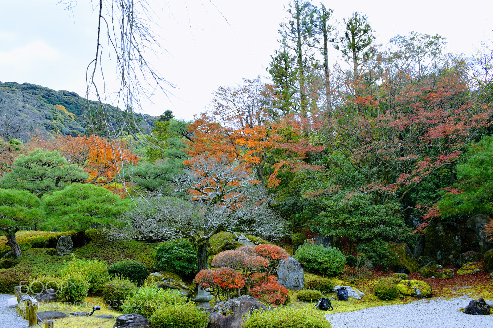 Nikon D3300 sample photo. Dsc photography
