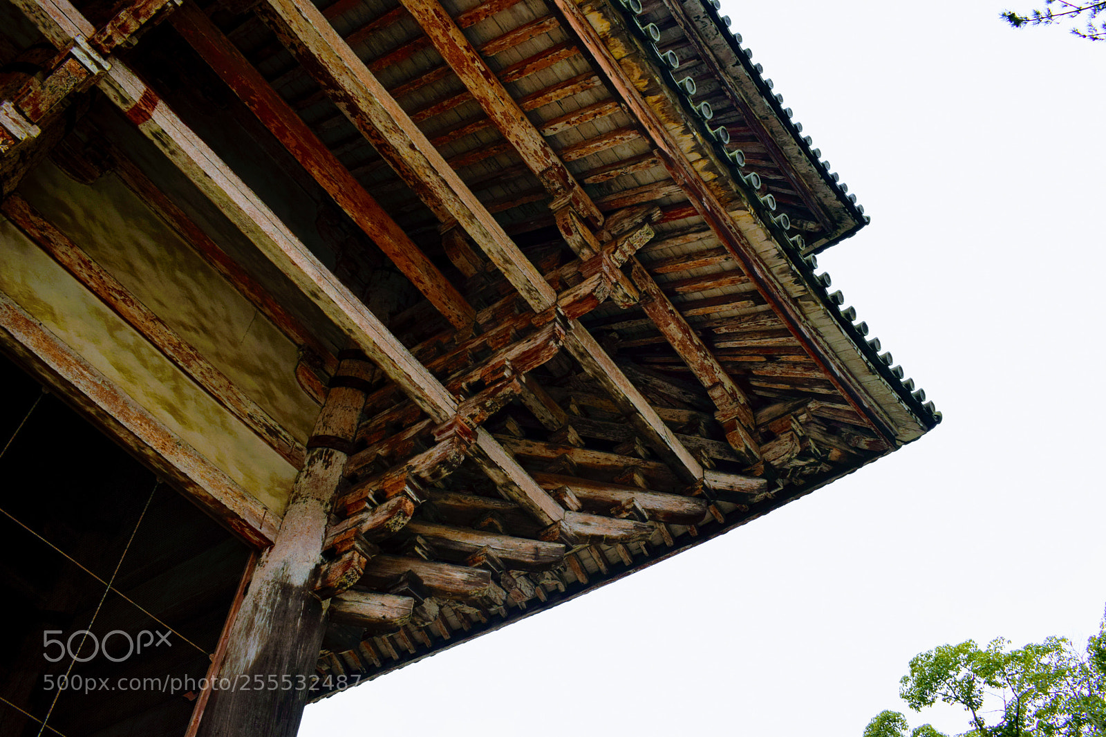 Nikon D3300 sample photo. () photography