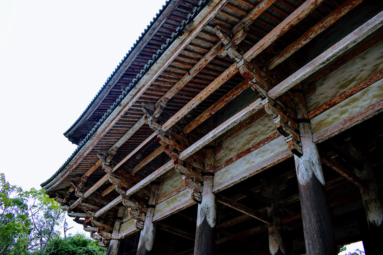 Nikon D3300 sample photo. Dsc photography