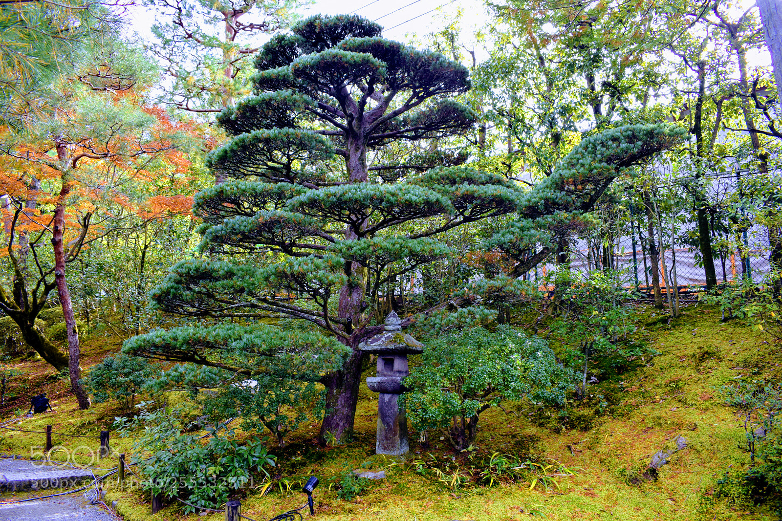 Nikon D3300 sample photo. Dsc photography