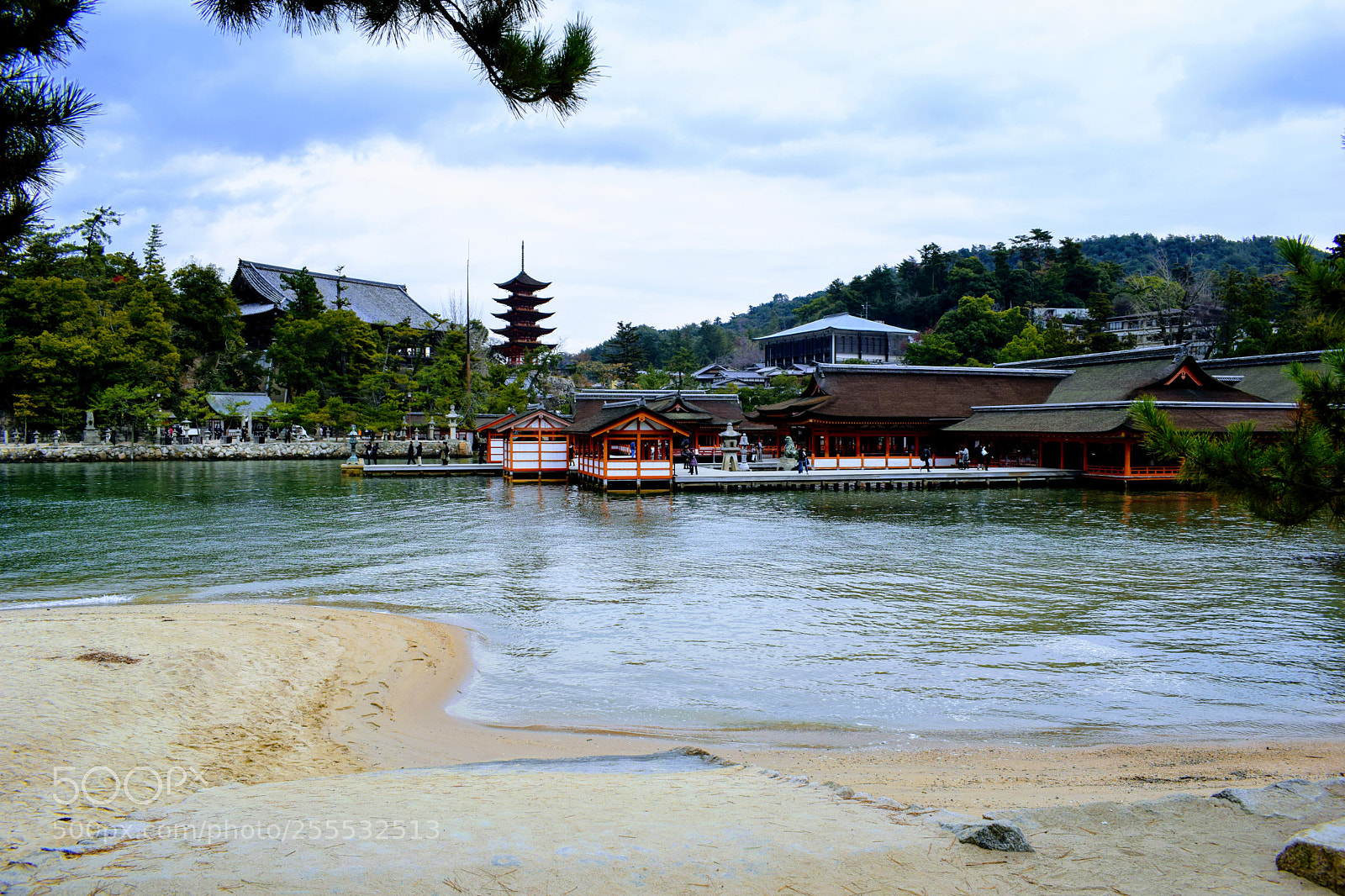 Nikon D3300 sample photo. () photography