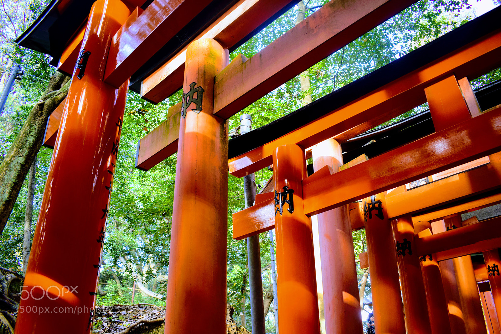 Nikon D3300 sample photo. () photography